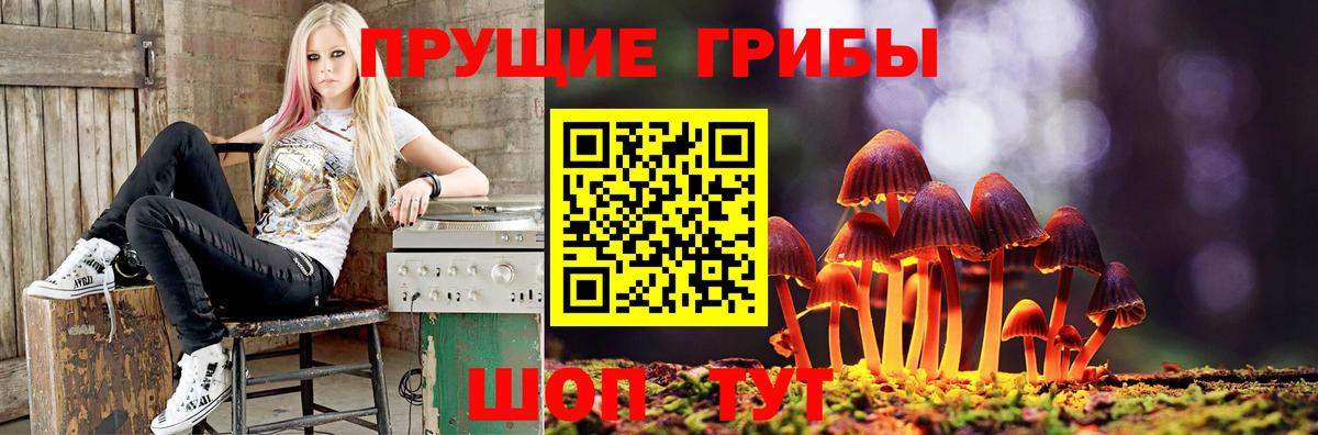 Псилоцибиновые грибы Psilocybine cubensis  Вход с VPN  купить наркоту  Прокопьевск 